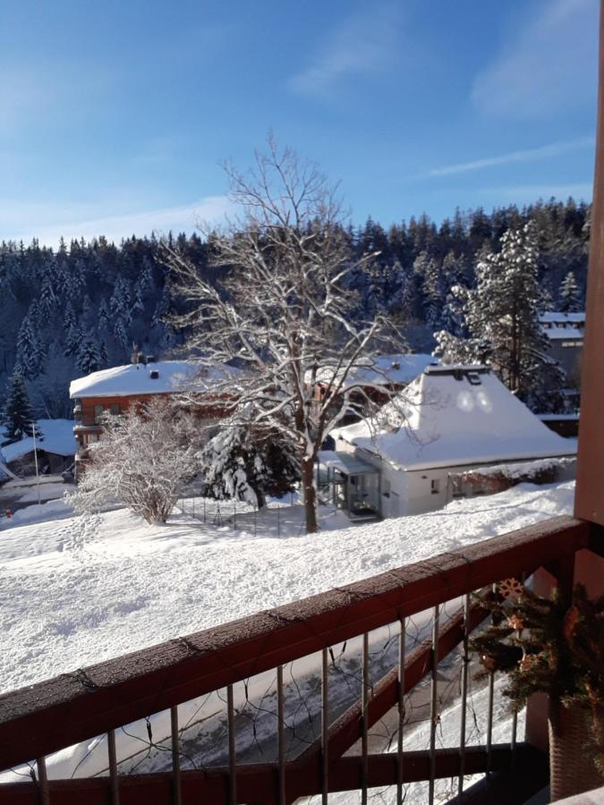 Kozel 1 Janske Lazne Exterior foto